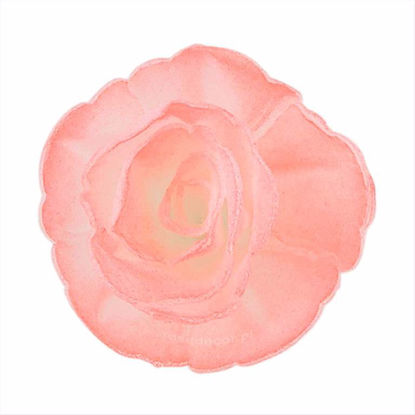 Obrazek RÓŻA CHIŃSKA MAŁA RÓŻOWA 310835 ROSE DECOR