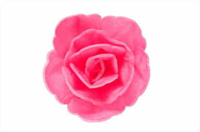 Obrazek RÓŻA CHIŃSKA MAŁA FUKSJA CIENIOWANA 314835 ROSE DECOR 