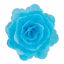 Obrazek RÓŻA CHIŃSKA DUŻA NIEBIESKA 320315 ROSE DECOR
