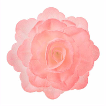 Obrazek RÓŻA CHIŃSKA DUŻA RÓŻOWA CIENIOWANA 320815 ROSE DECOR 