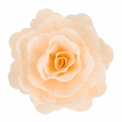 Obrazek RÓŻA CHIŃSKA DUŻA ECRY 321315 ROSE DECOR