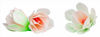 Obrazek MAGNOLIA BIAŁA WA500106 ROSE DECOR