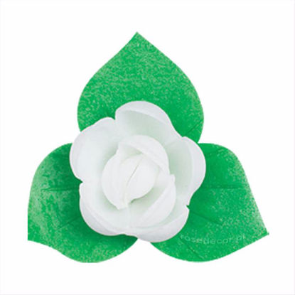Obrazek RÓŻA ANGIELSKA PĄCZEK Z LISTKIEM BIAŁA 050145 ROSE DECOR
