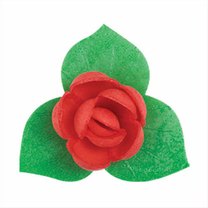 Obrazek RÓŻA ANGIELSKA PĄCZEK Z LISTKIEM CZERWONA 050245 ROSE DECOR