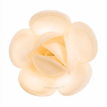 Obrazek RÓŻA WAFLOWA DUŻA ECRY 131330 ROSE DECOR