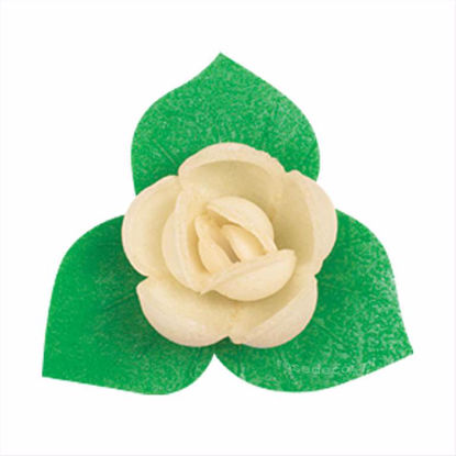 Obrazek RÓŻA ANGIELSKA PĄCZEK Z LISTKIEM ECRY 051345 ROSE DECOR