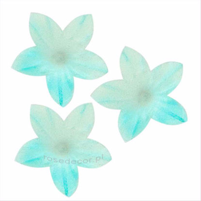 Obrazek KWIATEK MINI NIEBIESKI CIEN. OP.400SZT 380940 ROSE DECOR