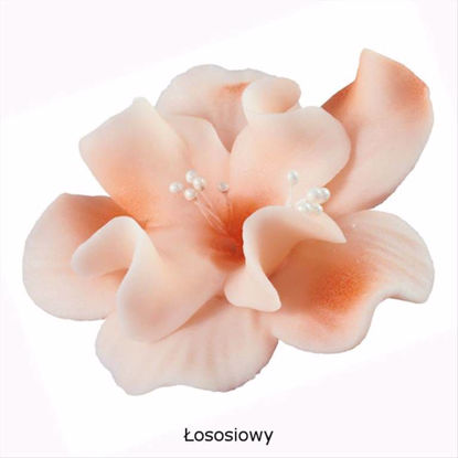 Obrazek DEKORACJA CUKROWA KWIAT MAGNOLIA ŁOSOŚ K04M OP.10SZT MAGMART