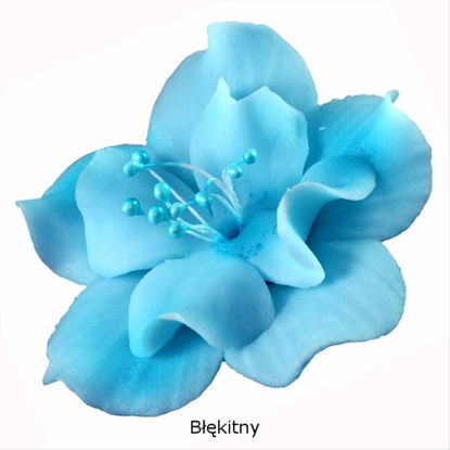 Obrazek DEKORACJA CUKROWA KWIAT MAGNOLIA NIEBIESKA K04M OP.10SZT. MAGMART