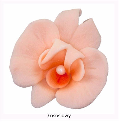 Obrazek DEKORACJA CUKROWA KWIAT CYMBIDIUM ŁOSOŚ K055 OP.10SZT MAGMART