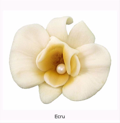 Obrazek DEKORACJA CUKROWA KWIAT CYMBIDIUM ECRY K055 OP.10SZT MAGMART
