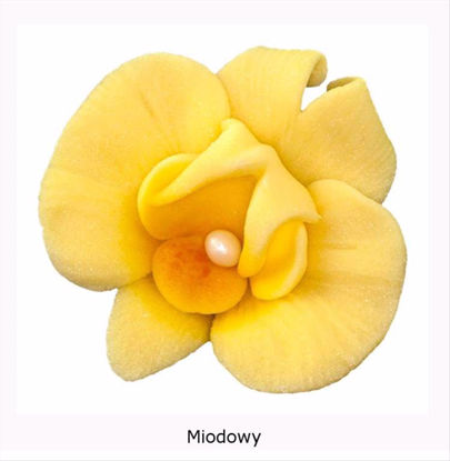 Obrazek DEKORACJA CUKROWA KWIAT CYMBIDIUM MIODOWE K055 OP.10SZT MAGMART