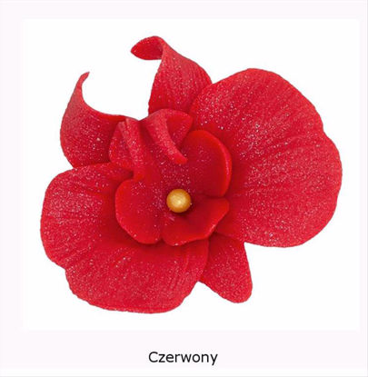 Obrazek DEKORACJA CUKROWA KWIAT CYMBIDIUM CZERWONE K055 OP.10SZT MAGMART
