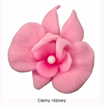 Obrazek DEKORACJA CUKROWA KWIAT CYMBIDIUM CIEMNY RÓŻ K055 OP.10SZT MAGMART