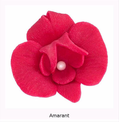 Obrazek DEKORACJA CUKROWA KWIAT CYMBIDIUM AMARANTOWE K055 OP.10SZT MAGMART