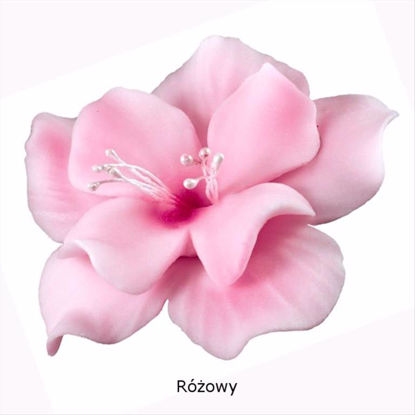 Obrazek DEKORACJA CUKROWA KWIAT MAGNOLIA RÓŻ K04M OP.10SZT MAGMART