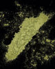 Obrazek BARWNIK SPOŻYWCZY DUST COLOURS - MATCHA 2,5g. DC-125 FOOD COLOURS