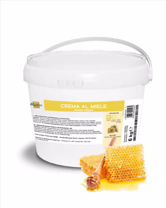 Obrazek KREM MIODOWY DO ZAPIEKU CREMA MIELE 6KG MASTER MARTINI AE03BC 